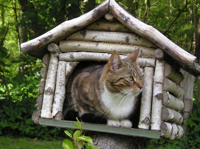 Domček pre mačky do lesa